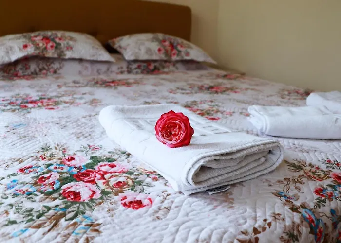 Hotel Florentina